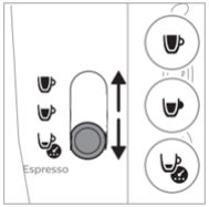 Proceso de extracción