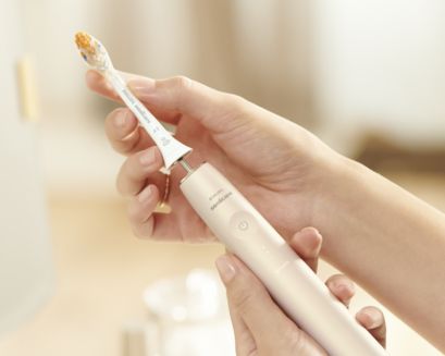 Warum sollten Bürstenköpfe alle 3 Monate gewechselt werden