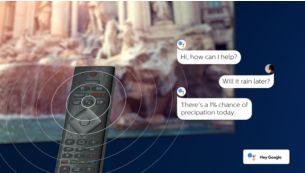 Controllo vocale. Assistente Google. Compatibile con Alexa.